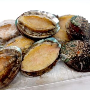 Live Abalone All Size